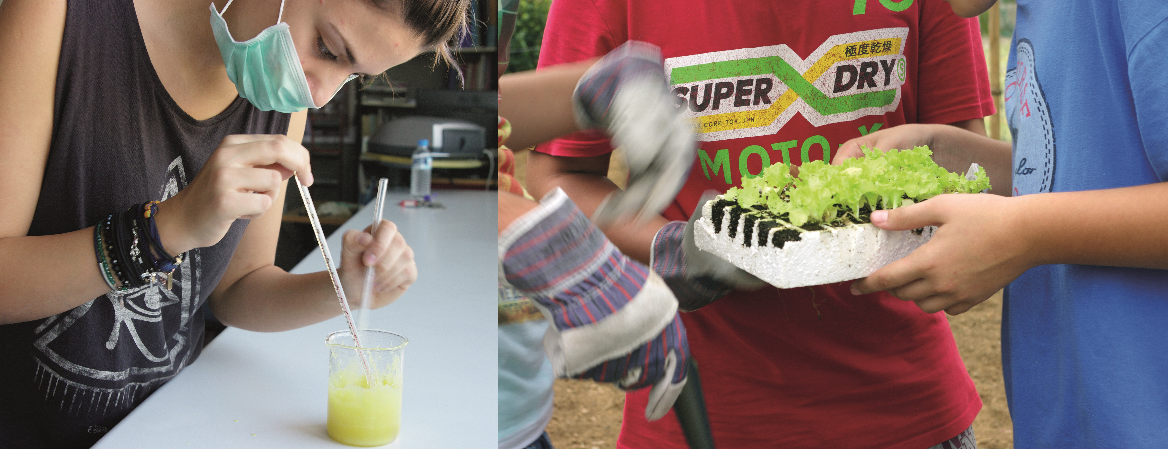 Ερευνητική εργασία